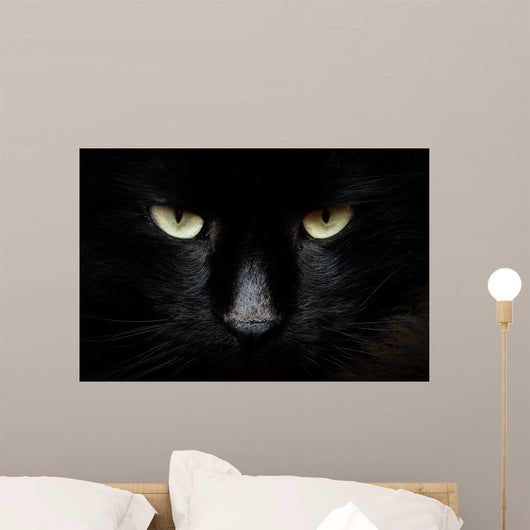 gatto nero Wall Mural