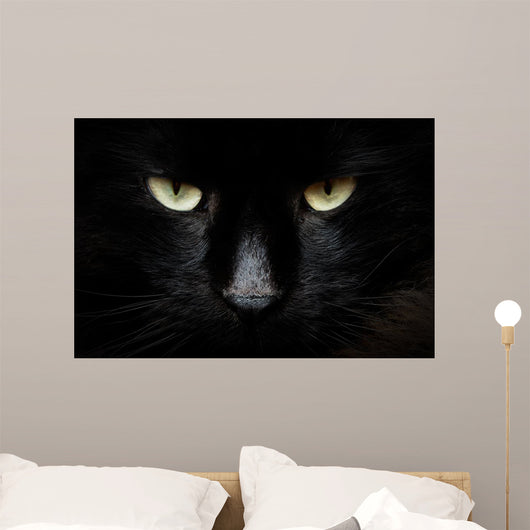 gatto nero Wall Mural