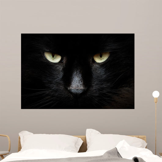 gatto nero Wall Mural