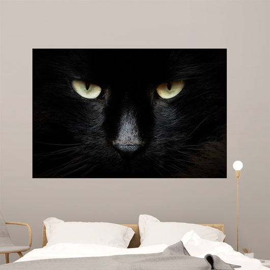 gatto nero Wall Mural