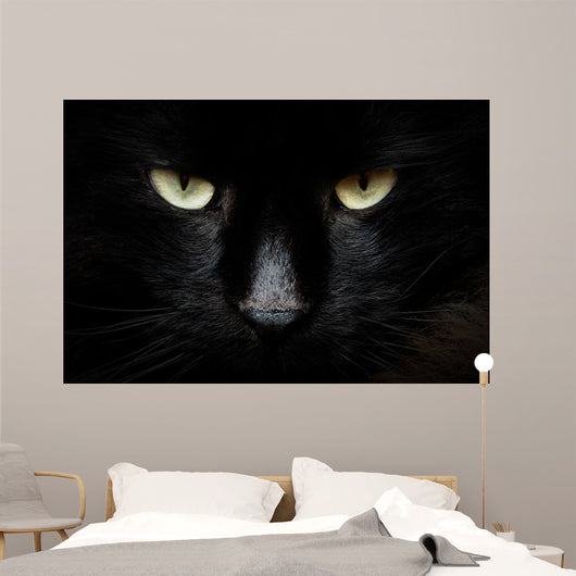 gatto nero Wall Mural