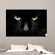 gatto nero Wall Mural