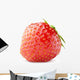 Strawberry Berry White with Wall Decal