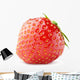 Strawberry Berry White with Wall Decal
