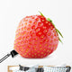 Strawberry Berry White with Wall Decal