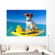 surfing dog Wall Mural