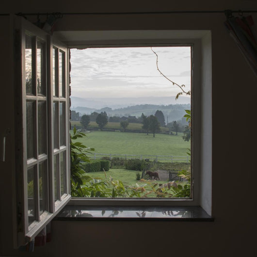 See through Window Wall Decal