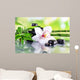 Spa Stones Bamboo Branches Wall Decal