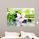 Spa Stones Bamboo Branches Wall Decal