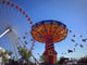 Chicago Navy Pier Wall Decal