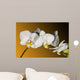 Weiss Orchidee Wall Decal
