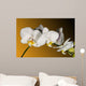 Weiss Orchidee Wall Decal