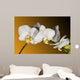 Weiss Orchidee Wall Decal