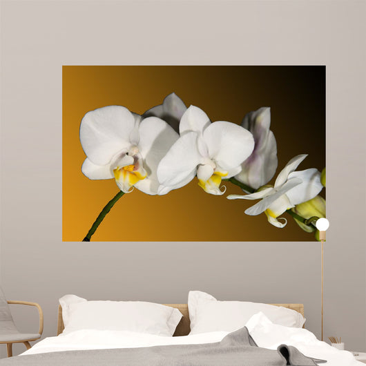 Weiss Orchidee Wall Decal