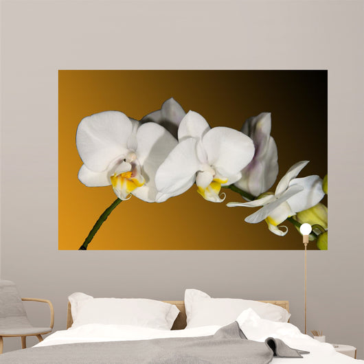 Weiss Orchidee Wall Decal