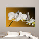 Weiss Orchidee Wall Decal