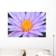 Purple Water Lilly Lake Wall Decal