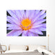Purple Water Lilly Lake Wall Decal