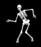 Skeleton On Black. Halloween Design Wall Decal
