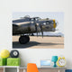 b-17g bomber Wall Mural