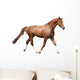 Chestnut Brown Horse Running Wall Decal