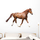 Chestnut Brown Horse Running Wall Decal