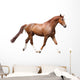 Chestnut Brown Horse Running Wall Decal
