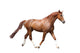 Chestnut Brown Horse Running Wall Decal