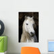 Highland Pony Wall Decal