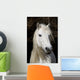 Highland Pony Wall Decal