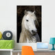 Highland Pony Wall Decal