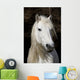 Highland Pony Wall Decal