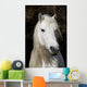 Highland Pony Wall Decal