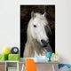 Highland Pony Wall Decal