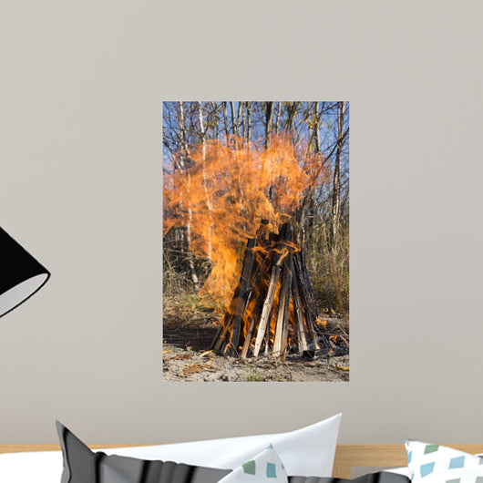 Bonfire on a Picnic in Taiga Forest Wall Mural