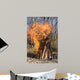 Bonfire on a Picnic in Taiga Forest Wall Mural