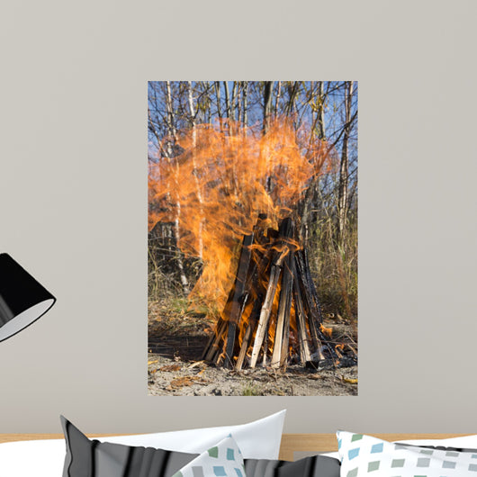 Bonfire on a Picnic in Taiga Forest Wall Mural