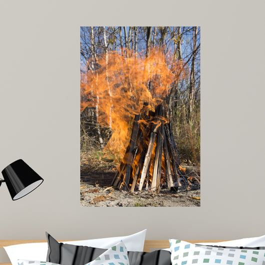 Bonfire on a Picnic in Taiga Forest Wall Mural