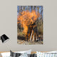 Bonfire on a Picnic in Taiga Forest Wall Mural