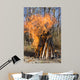 Bonfire on a Picnic in Taiga Forest Wall Mural