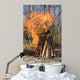 Bonfire on a Picnic in Taiga Forest Wall Mural