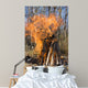 Bonfire on a Picnic in Taiga Forest Wall Mural
