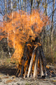 Bonfire On A Picnic In Taiga Forest Wall Decal