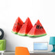 watermelon Wall Decal
