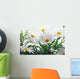 Spring Marguerite Wall Mural