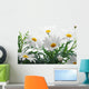 Spring Marguerite Wall Mural