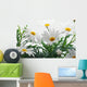 Spring Marguerite Wall Mural