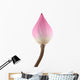 Water Lily Wall Decal