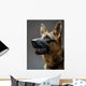 Studio Shot German Shepherd Wall Decal