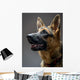 Studio Shot German Shepherd Wall Decal